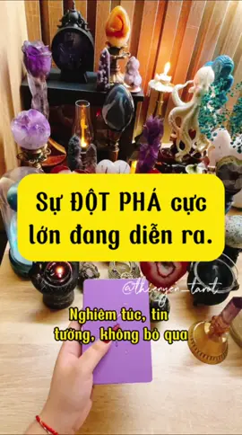 Sự ĐỘT PHÁ cực lớn đang diễn ra. 🌟 #thienyen_tarot #thienyentarot #tarot #tarotthienyen #thefoxtarot #tarotthefox