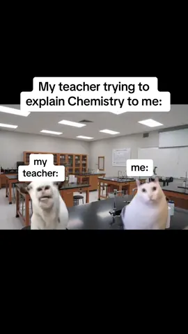 Get a tutor with Pocketnote today to help you smash Chemistry! 🎉 #pocketnote #fyp #foryou #MemeCut #Meme #capcut #studying #lol #funny #trend #trending #viral #trends #lmao #genz #bestie #chem #chemistry #aussie #year12 #tutoring 