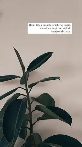 Episode 142|#qoutesoftheday #storytime #storysad #selfreminder #abcxyz #fyp #fypシ #CapCut 