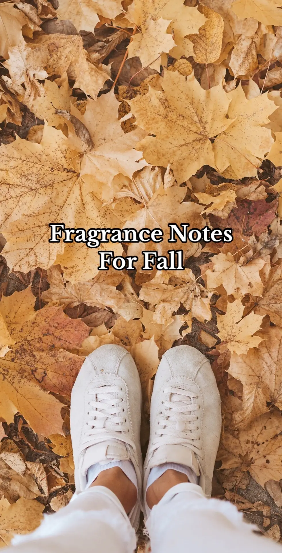 These fragrance noted will put you in the mood for fall! #fragrancetok #fragrancereccomendations #fallfragrances 