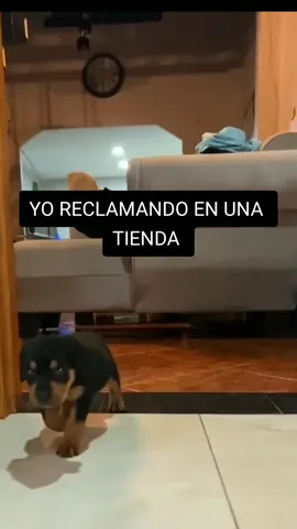 Como reclamar en una tienda #elbandido #estadosparawhatsapp #frases 