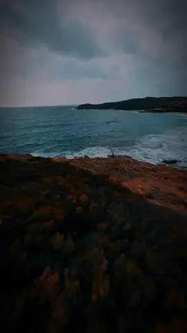 متى يا واحش الدنيا؟ 🕊️❤️ #ماجد_المهندس #البرنس #ماجديات🎶 #واحش_الدنيا #اكسبلور_تيك_توك #majedalmohandis 