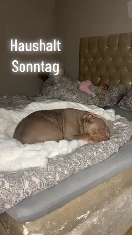 Haushalt am Sonntag😍 wer ist genau so? #asmr #asmrvideo #asmrtiktoks #organizedhome #organization #organizationtiktok #CleanTok #xyzbca #haushaltstipps #motivation #lifehacks #cleanwithme #cleaningtiktok #fyp #foryou #fürdich #fyfy #foryoupage #fypシ #viral 