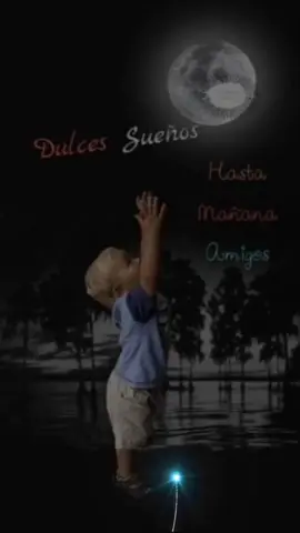 I can't live without you... 💔 #SweetDreams #Goodnight #DulcesSueños #Buenasnoches #Tiktok #Amor #Love #amigos #friends #musica #music #livewithoutyou #vivirsinti 