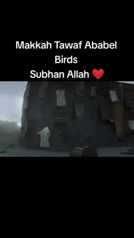 Makkah Tawaf Ababel Birds  Subhan Allah ❤️❤️❤️ #foryoupage ##tiktok #videoviral #trending #fypシ #samiafridi1995 