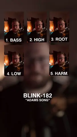 Wollte heute mal was neues ausprobieren 🙈 Blink-182 - Adam‘s Song (Harmony Stack) #harmonychallenge #harmonystack #harmonies #cover #blink182 #adamssong