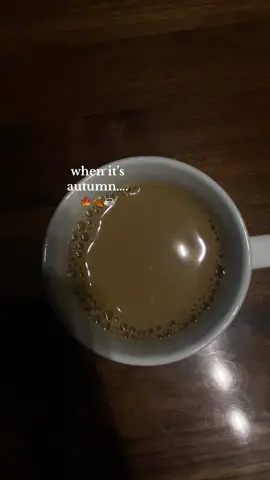 autumn is my fav season🍁🍂☕️#fall #rainyday #autumnlife #rainyseason #rainyfalldays 