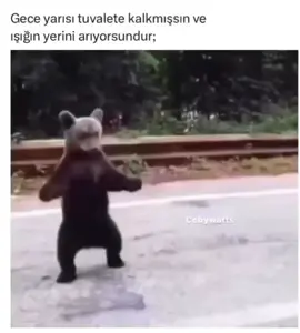 #funny #fyp #keṣfet #edits #mizahtürkiye #komikvideolar #ayı #ayıcık 