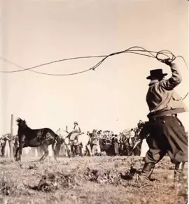 José Hernández - Martín Fierro (1872) en la voz de Jorge Cafrune #camperiando #viral #fyp #parati #cafrune🧉🐎 #hernandez #martinfierro 
