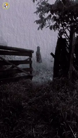 #بصوت #محمد_الاميري #حيرة #شعراء_وذواقين_الشعر_الشعبي #تصاميم #شعر_عراقي #اكسبلورexplore #fyp #foryou #انتيكات💜 