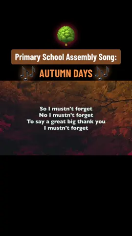 #PrimarySchool #SchoolAssembly #AutumnDays #2007 #2000s #00s 