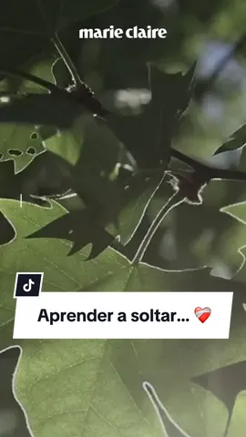 Aprender a soltar es el acto más grande de amor ❤️‍🩹❤️‍🩹❤️‍🩹 #aprenderasoltar #soltar #soltaryserfeliz #soltarparasanar #soltarydejarir #reflexion #refelxiondevida #reflexionesdevida 