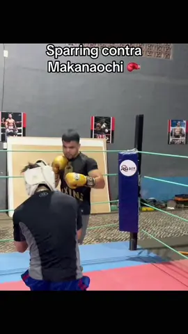 #box #makunouchiippo 