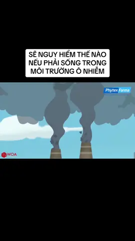 Sẽ nguy hiểm thế nào nếu bạn phải sống trong môi trường ô nhiễm #suckhoe #xuhuongtiktok #xuhuong #moitruong #moitruongxanh #onhiemmoitruong #songkhoe #benhphoi 