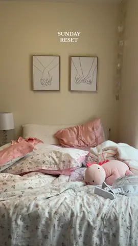 Sunday reset 🧺🎀🫧 10/15