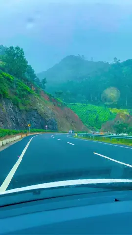 #idukki #kerala #wayanad #kozhikode #kochi #malappuram #kannur #thrissur #keralagram #kollam #kottayam #keralatourism #palakkad #alappuzha #keralagodsowncountry #godsowncountry #mallugram #trivandrum #india #ernakulam #mallu #malayalam #entekeralam #calicut #keralaattraction #photography #instagram #pathanamthitta #instagood #Love