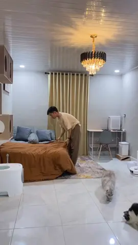 Nginap di catroom 🫣 || link serum ada di bio no 10 #kucingtiktok #catroom #pitapixie #fyp 