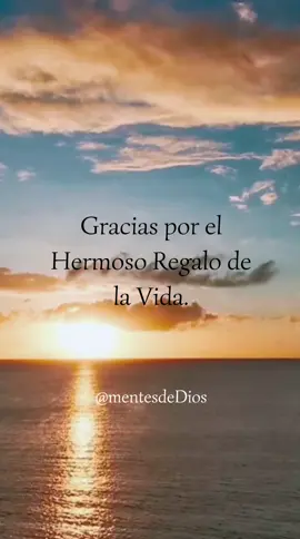 Dios Gracias  Por tu infinita Bondad, Llega un Nuevo Día  Y con Él llegan muchas Oportunidades para seguir avanzando en mis Propósitos y Alcanzar Mis Sueños. Gracias por el Hermoso Regalo de la Vida. Gracias porque sé que Tú me Bendices y estás Guiando mis pasos en esta Jornada. Dios te Bendiga 🙏  . . . . . .#oracion #dios #diosesbueno #diosesfiel #diosesamor #cristo #actitudpositiva #mentepositiva #pensamientospositivos #motivacion #devocional #frases #frasesmotivadoras #frasesdeamor #frasesbonitas #frasesparacompartir #frasesparareflexionar #frasespositivas #frasesinspiradoras #frasesdelavida #palabrasconluz #palabrassabias #palabradedios #mensajespositivos #palabradelseñor #mensajescristianos #imagenescristianas #jovenescristianos #evangelion #catolicos #esperameporlamañana #jesusadrian #jesusadrianromero 