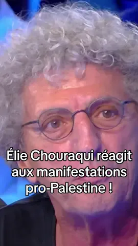« Ce ne sont pas des manifestations pro-Palestiniennes, ce sont des manifestations pro-Hamas ! »  Les manifestations en soutien au peuple palestinien ont été interdites : le réalisateur Élie Chouraqui réagit dans #TPMP 