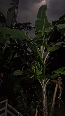 🍃 VibeDalu #fyp #sholawat #vibesmalamhari #suasanapedesaan #berandatiktok 