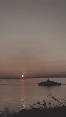 حرمتني....!! #FRANK #فولو #لايك #اكسبلورexplore 