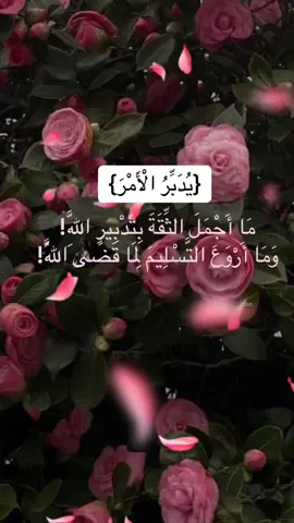 #اللهم_دبرلي_امري_فانا_لا_احسن_التدبير🤲 