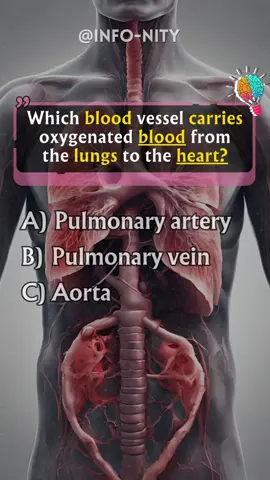 Biology Quiz - How many did you get? 🧠👍🤓 #puzzles #quiz #learn #curiosity #trivia #mentalsimulation #quiztime #quizzes #quizgame #triviachallenge #generalknowledge #greysanatomy #anatomy #questions #knowledge #triviagame #longervideos #foryou #fyp #fypシ #usa🇺🇸 #usa_tiktok  