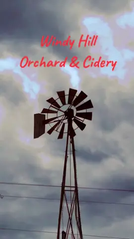 If you love apples, Go check out this place. “Windy Hill Orchard Cidery” not to far from  south Charlotte area. I had the best Apple experience. 🥰 10/10 #applepicking #applepickingcharlotte #pumpkinseason #halloween #october #charlotte #southcarolina #windyhill #farm #fyp #viral #lyfealert 