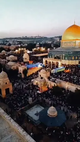 فلسطين عربيه 🇯🇴❤️ #اصاله 