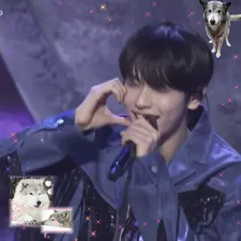 soobin silly wolf #txt #soobin #soobinedit #wolf #fyp 