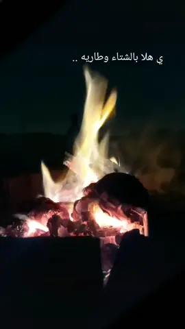 #تحبون الشتاء ولا الصيف ؟ 