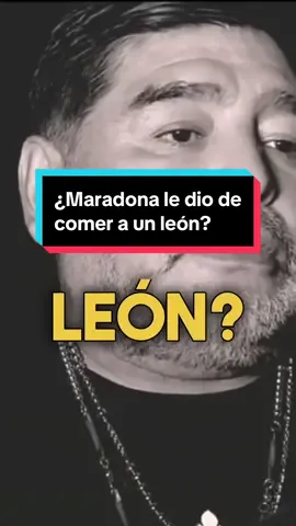 #maradona #diegomaradona #futbol #futbolargentina #argentina