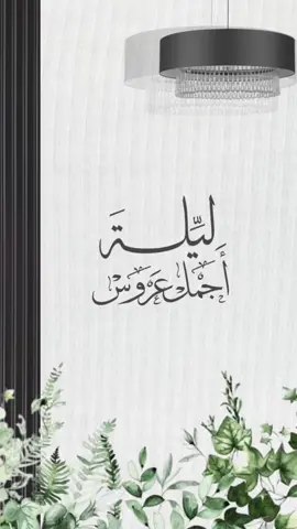 تهنئة عروس بدون حقوق🩶👰🏻‍♀️ #ليلة_عروس#عروستنا#زفاف_عروستنا#عروس#عروسه#ليلة_عروستنا#عروستنا_الحلوه#عروستنا_ربي_يتمم_فرحها#تهنئة_عروس#تهنئه_عروس 