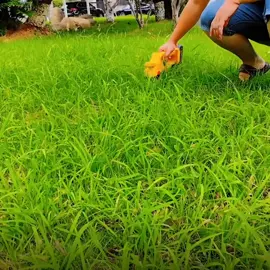 Máy cắt cỏ không dây tỉa cây bụi có thể sạc lại Tông đơ cầm tay chạy điện 110‑240V ##CapCut##maycatcodanang##maytiacanhcay##maycatco##tiacay##catco##maycatcocamtay##maycatcobangpin
