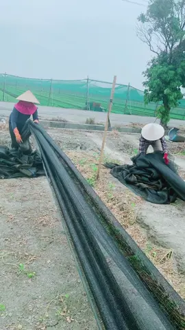 Viec nhe luong cao đây ae 