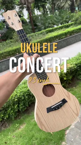 Đàn ukulele concert mộc cho các bạn mới học chơi #ukulele #yeuammhac #concertmoc 