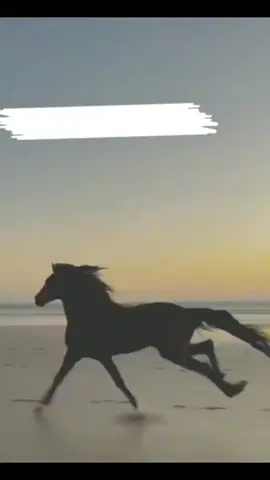 ##ها #حسين_الجسمي 