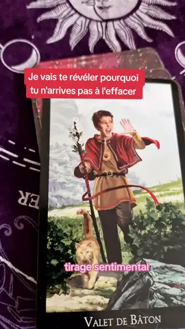 lecture pleine d'amour 🥰 #guidancesentimentale #tirage #tarotfrancais #tiragedujour #tiragedecarte #abondance #tira 