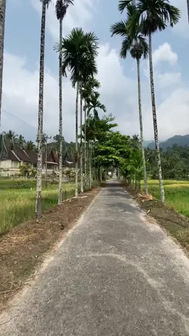Lah ado kamari sanak? #fyp #fypgakni #minang #sumbar #minangtiktok #kabagam #maninjau 