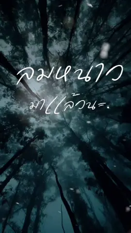 ลมหนาว #CapCut #เพลงดังในtiktok #ฤดูหนาว #ลมหนาว #ลมหนาวมาแล้วนะ 