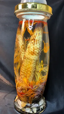 Lên bình nhục thung dung cho anh zai #nhụcthungdung #nhacche #xuhuongtiktok 