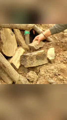 Bushcraft in Underground House #build #building #camping #shelter #survival #wildlife #Outdoors #outdoor #fyp #trending #viral #bushcraft #bushcrafting #bushcraftsurvival 