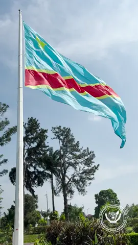 #rdcongo🇨🇩 #drapeaunational #bendeleekweyate #bendele🇨🇩🇨🇩  #nocomment 