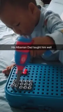 Good Boy good dad #albanian #memes #funnyvideos 