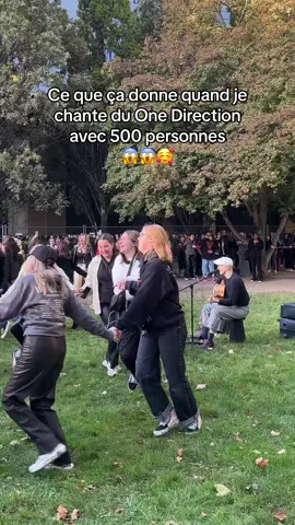 La meilleure Fandom au monde 🫣🥰 #faithinthefutureparis #fitfparis #onedirection #louistomlinsonparis #stealmygirl #fitfwtparis 