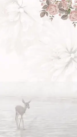 سمية جدتها حسب الطلب🤍#explore #اكسبلور #دعوات_الكترونيه #مواليد #مولود #مولودة #دعم #فولو #لايك 