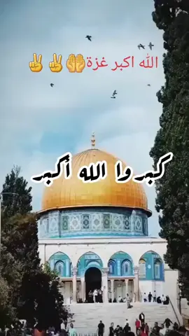 فلسطين_غزة✌#كبروا_ليبلغ_تكبيركم_عنان_السماء #كبرو_الله_اكبر_لا_تهابو_الحقدين🤚 #غزة_فلسطين #✌️ #الله_اكبر 