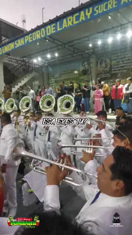 Centro Musical Pomapata 🌴💛💚 📍Tema:Amantes 2023 #bandita #corazonbandero #bandasalay #ferrerdecoto #larcay #pacdetrujillo #nuevaexprecionpomapata #pomapata🎷🎺🥁📯🎶 #alexaproduciones #centromusicalpomapata #bandas #Viral #bandas #centromusicalpomapata #pioneros 