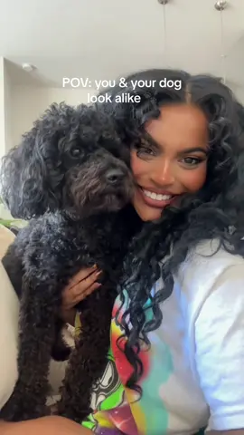 or….POV: your dog wont participate in the trend 😑 #dogsoftiktok #falloutfits #dogmom 