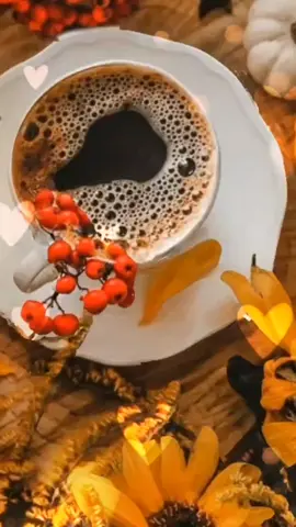 #guten #morgen #schönen #tag #fürdich #foryou #gutenmorgentiktok #freunde #buongiorno #goodmorning #CapCut #alltag #liebe #grüße #morgengrüße 